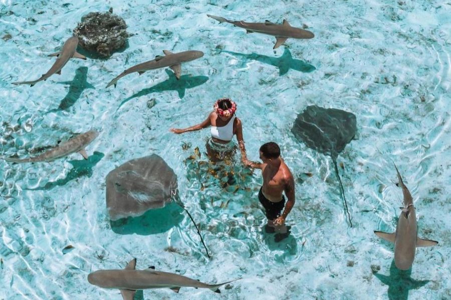 Dubai and the Maldives