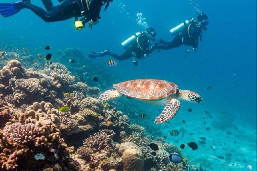 Maldives & Abu Dhabi Escape