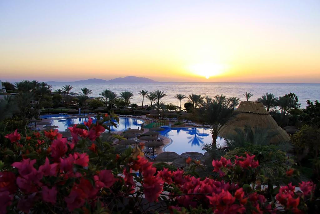 Pickalbatros Royal Grand Resort Sharm – Adults Only